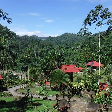 Pacuare River Lodge Bajo Tigre Buitenkant foto