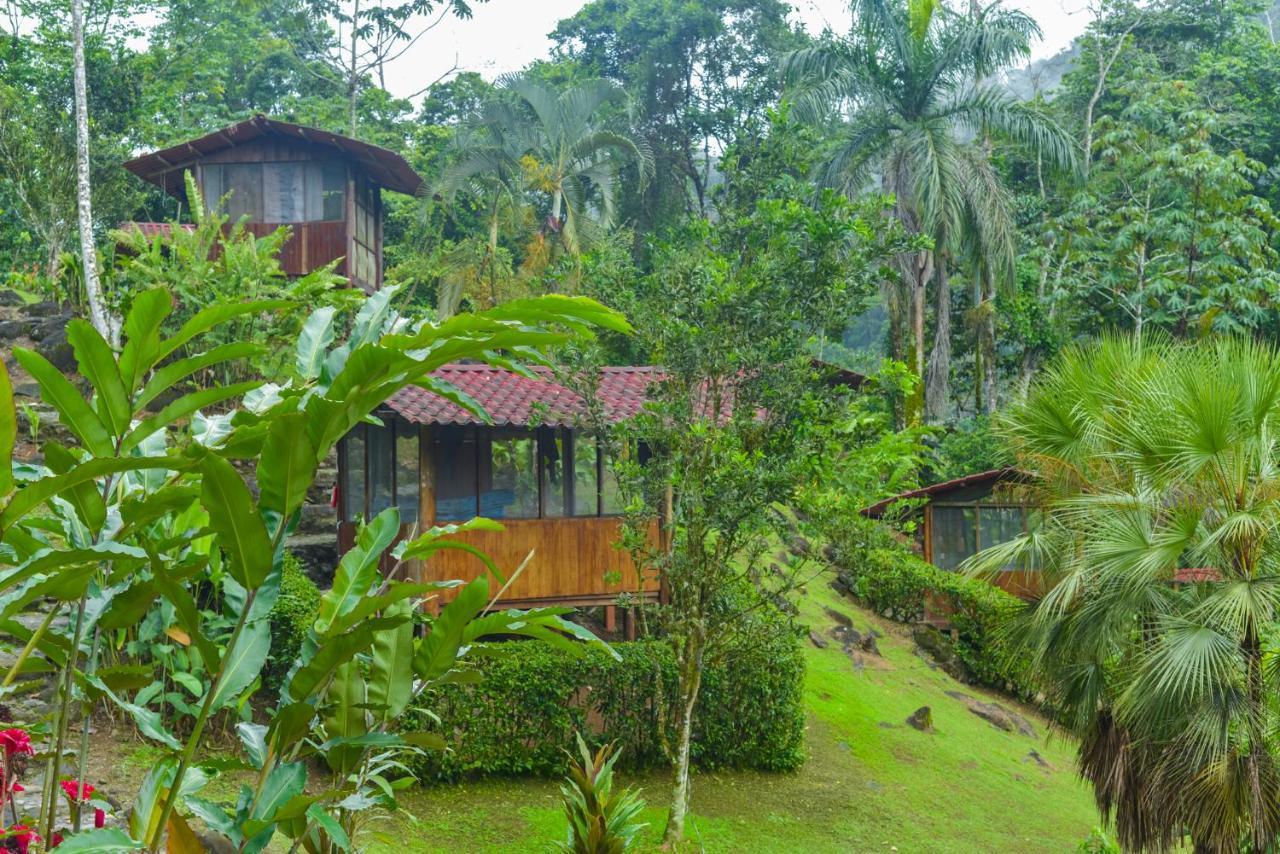 Pacuare River Lodge Bajo Tigre Buitenkant foto