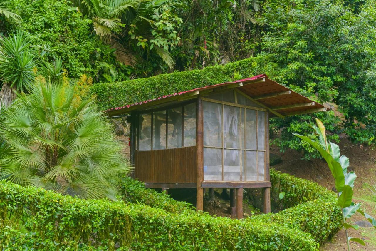 Pacuare River Lodge Bajo Tigre Buitenkant foto