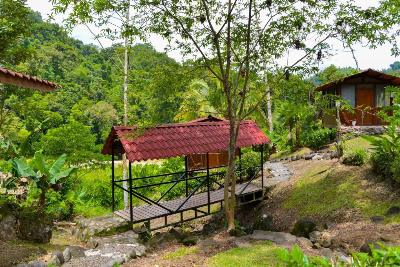 Pacuare River Lodge Bajo Tigre Buitenkant foto