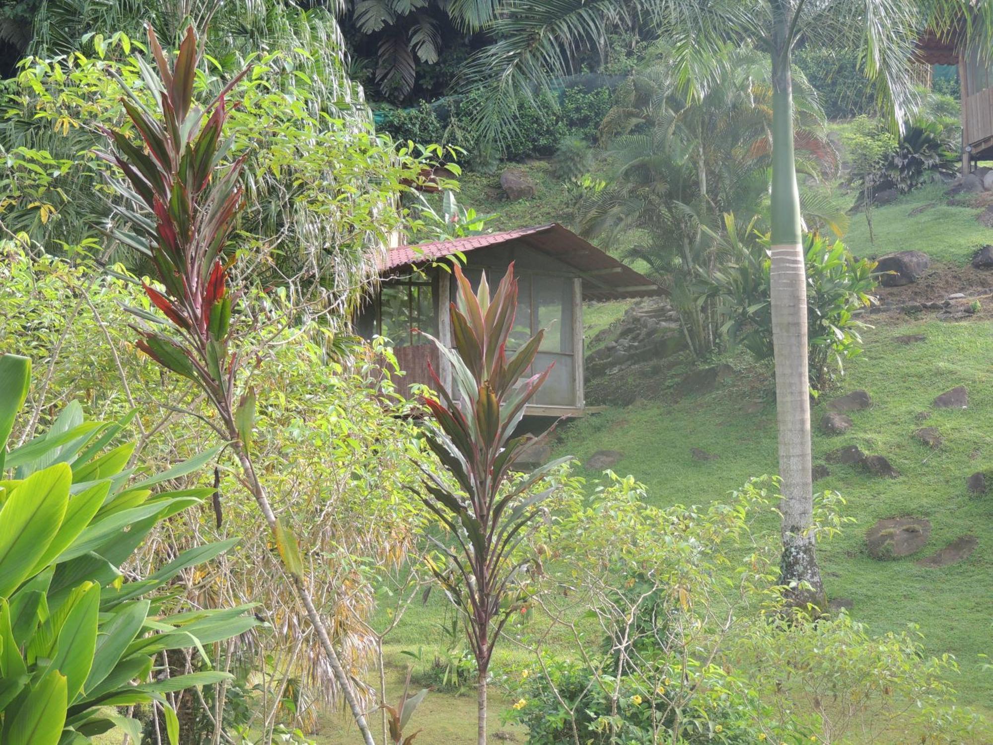 Pacuare River Lodge Bajo Tigre Buitenkant foto