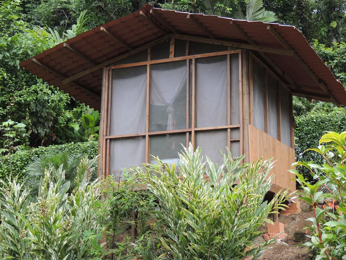 Pacuare River Lodge Bajo Tigre Buitenkant foto
